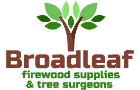 Broadleaf